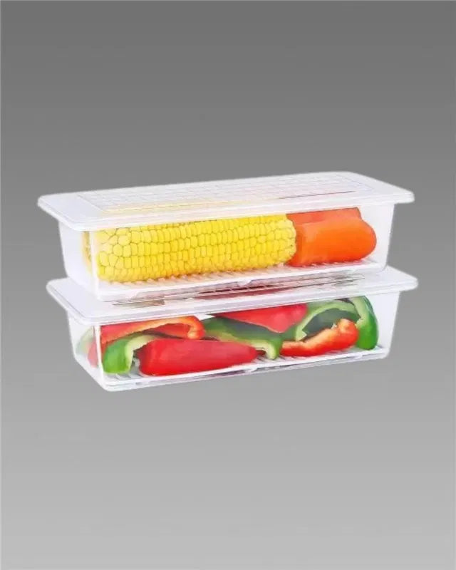 Fridge Storage Containers Box – Pack of 2