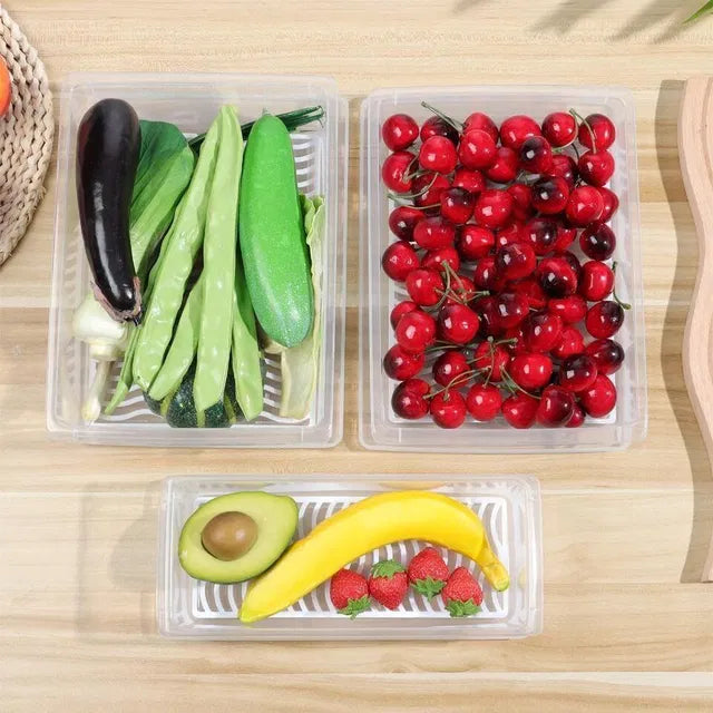 Fridge Storage Containers Box – Pack of 2