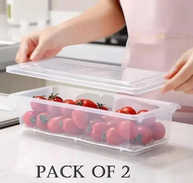 Fridge Storage Containers Box – Pack of 2